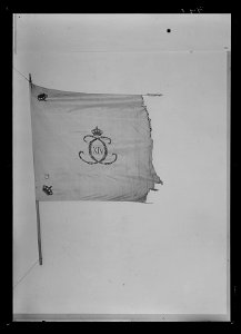 Kompanifana liv-o hustrupper - Livrustkammaren - 17539