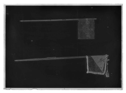 Kompanistandar för Västgöta tre- och femmänningar, under översten greve Gustav Fredrik Lewenhaupt - Livrustkammaren - 1197-negative