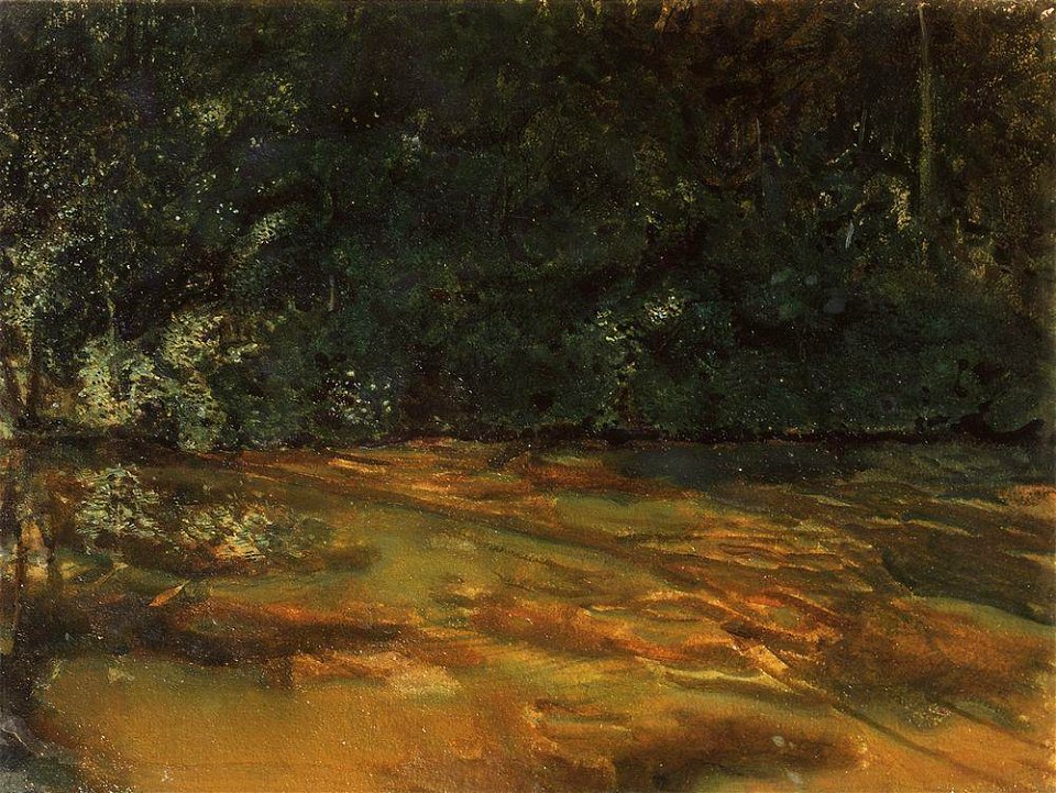 Konstantin Somov - overgrown-pond