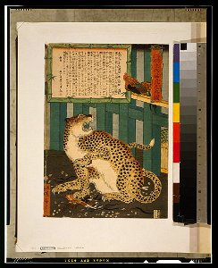 Konjaku miken seibutsu mōko no shinzu LCCN2002700209