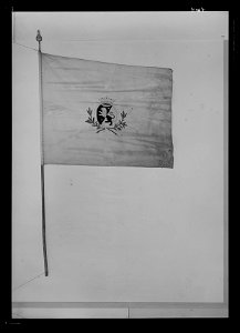 Kompanifana vid Västmanlands regemente - Livrustkammaren - 419