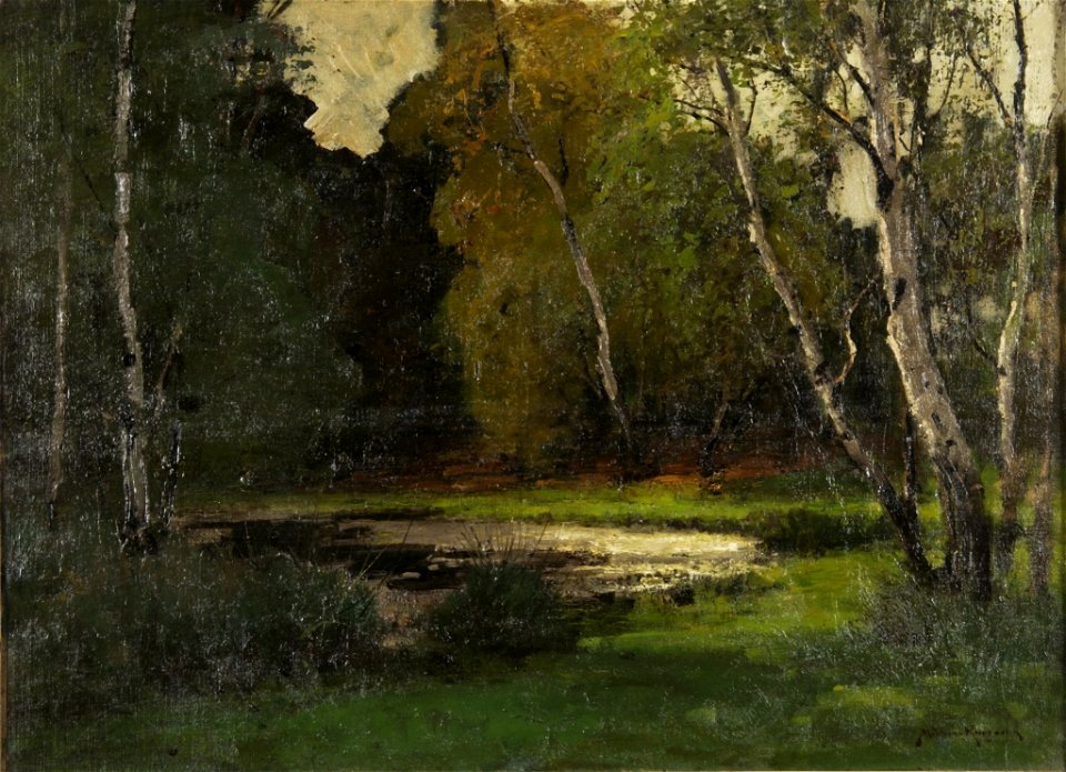 Konrad Alexander Müller-Kurzwelly - Waldtümpel - BG-M 12109^14 - Berlinische Galerie