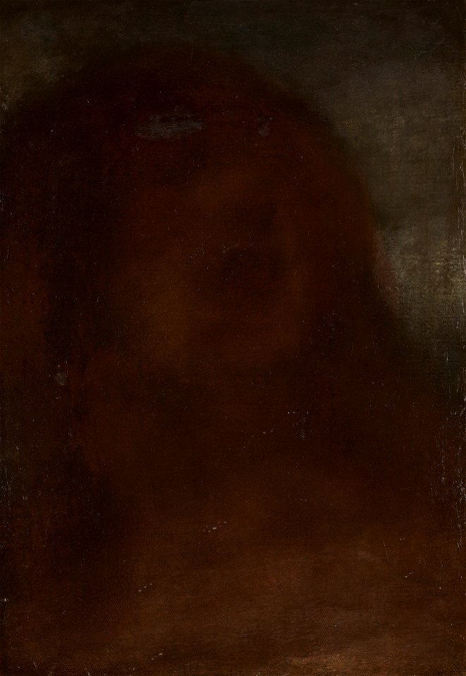 Kop van een vrouw, genaamd 'A fair beauty' Rijksmuseum SK-A-2580
