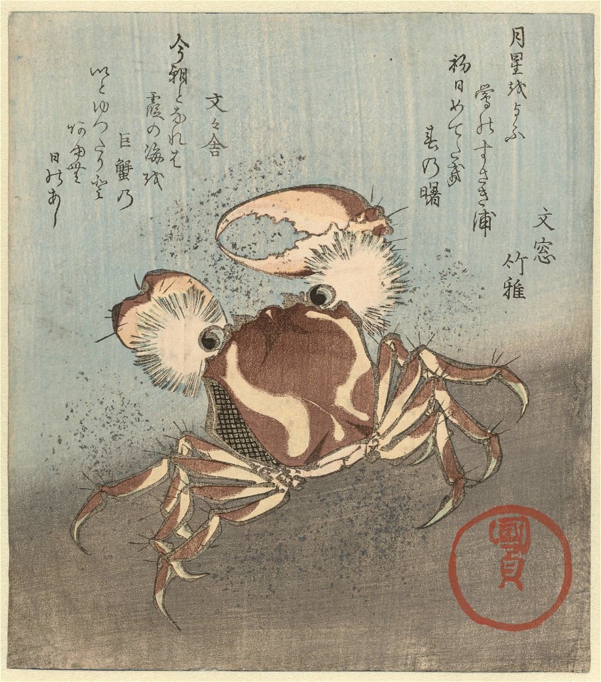 Krab loopt langs water-Rijksmuseum RP-P-1987-32
