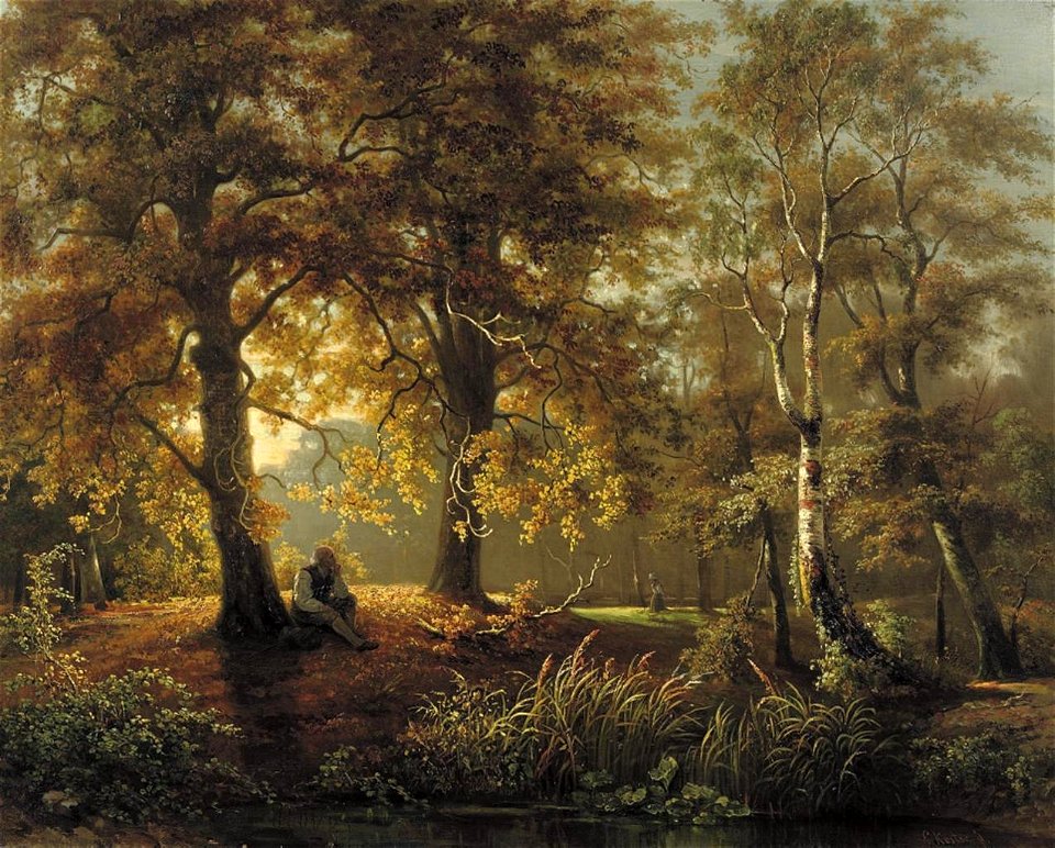 Forest landscape Koster Koster Everhardus