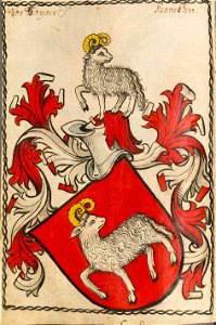 Kotzau-Scheibler290ps
