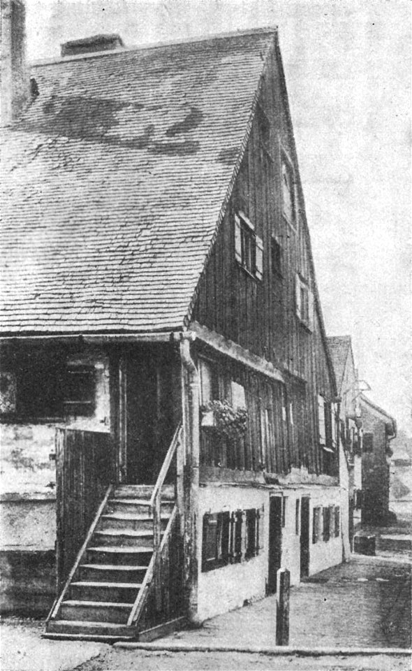 Kraemer 01