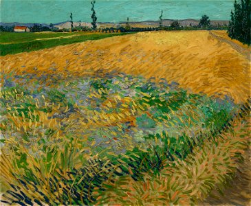 Korenveld - s0146V1962 - Van Gogh Museum