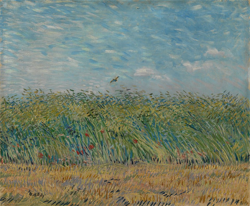 Korenveld met patrijs - s0197V1962 - Van Gogh Museum