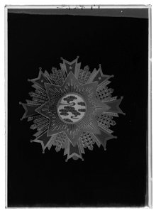 Kraschan, Lyckobådande molnets orden, Kina - Livrustkammaren - 18588-negative