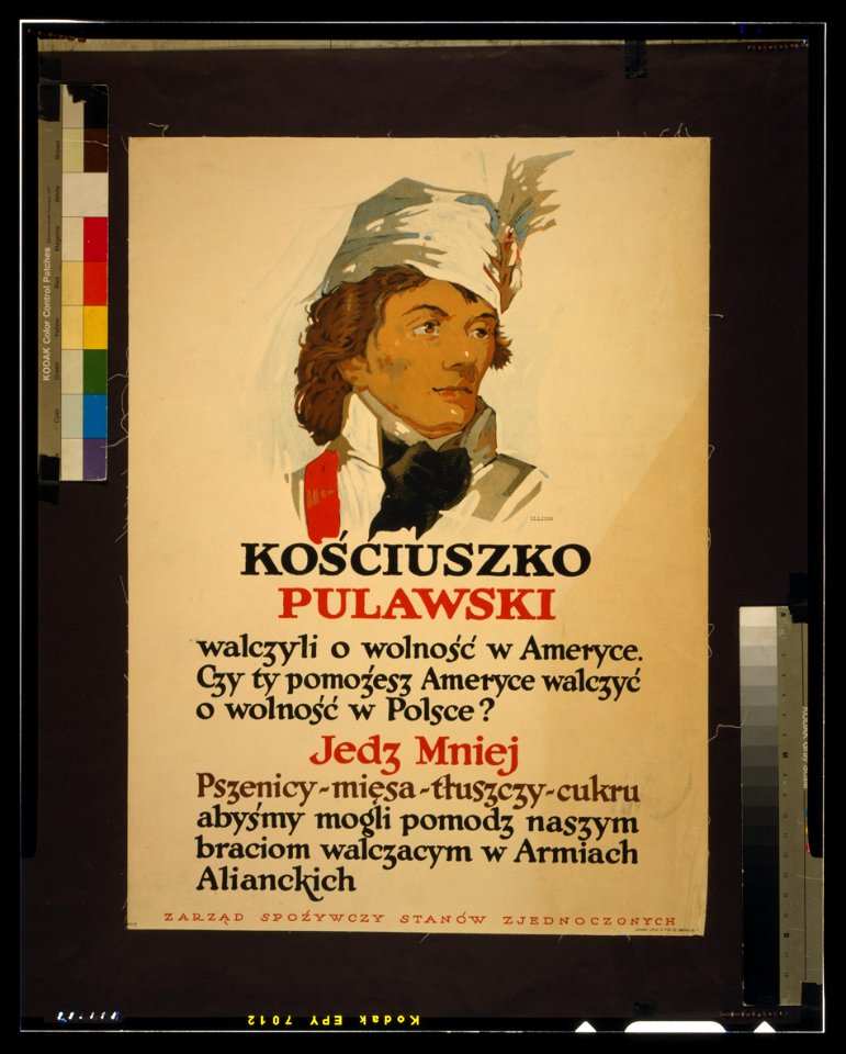 Kościuszko, Pułaski - They fought for liberty in America (...) Eat less wheat, meat, fats, sugar (...)) - Illion (sic); Latham Litho. & Ptg. Co. Brooklyn, N.Y LCCN2002711993