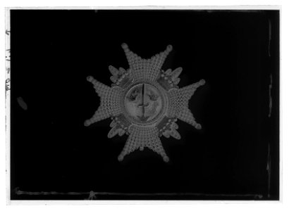 Kraschan Svärdsorden - Livrustkammaren - 78400-negative