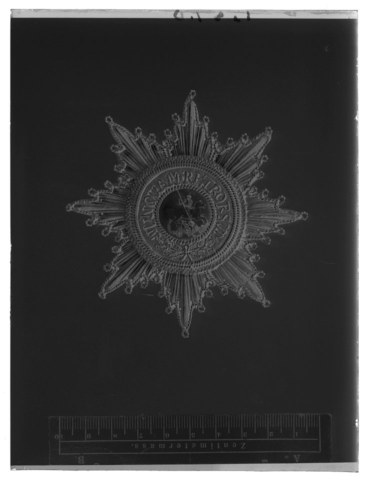 Kraschan för riddare av S-t Georgsorden Hannover, ca 1850 - Livrustkammaren - 53733-negative