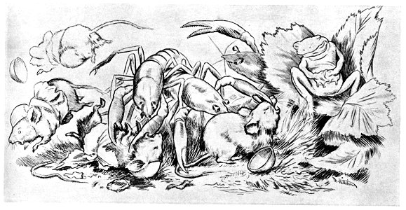 Krigen mellom froskene musene - War between the frogs and mice - 13 - 1885