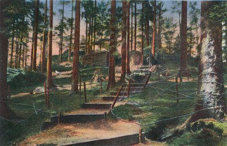 Kriegsbilder Vogesen, Eine uneinnehmbare Festung