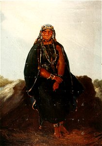 La Araucana - Rugendas