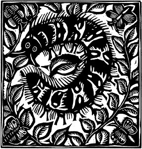 La Chenille (Apollinaire - Le Bestiaire, ou Cortège d'Orphée)