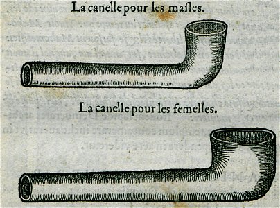 La canelle pour les masles La canelle pour les femelles - Belon Pierre - 1554