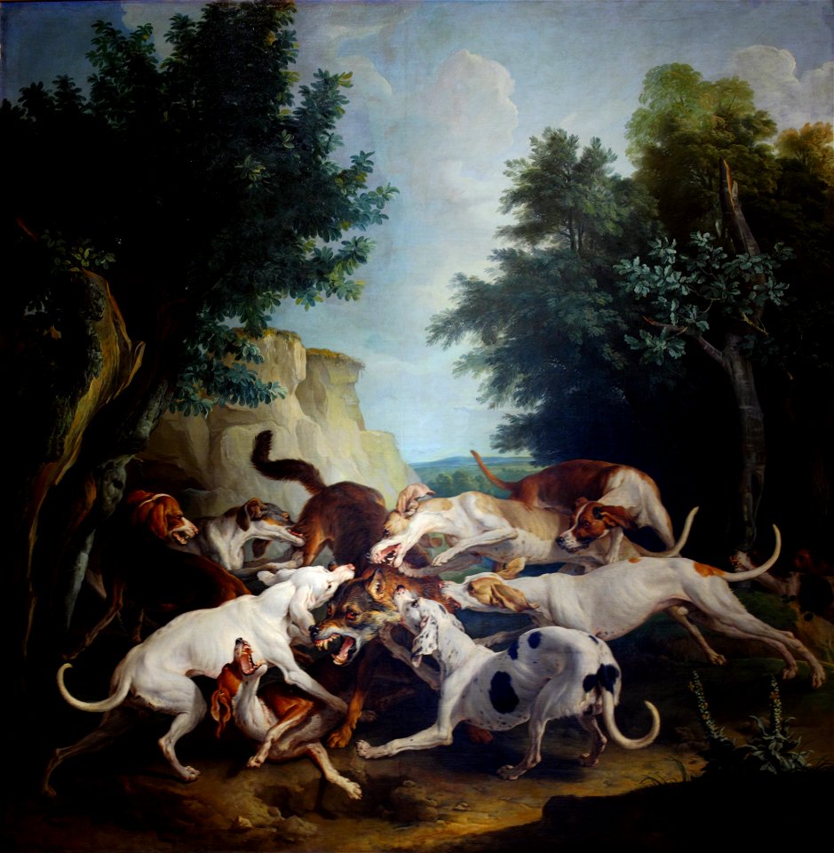 La chasse au loup