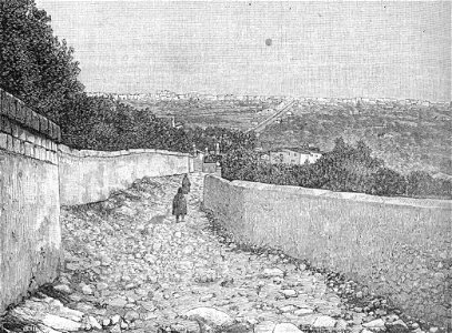 La Conca d’Oro di Monreale (xilografia)