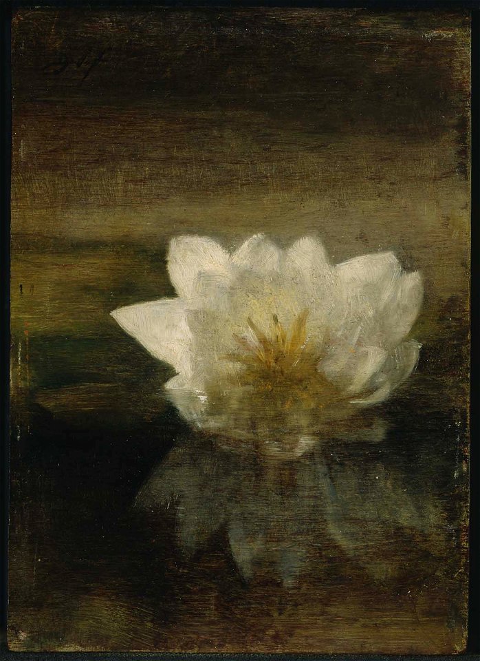 John La Farge - Water Lily - RES.27.93 - Museum of Fine Arts