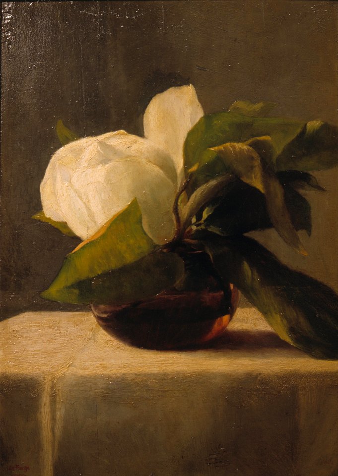 John LaFarge - Magnolia - Google Art Project