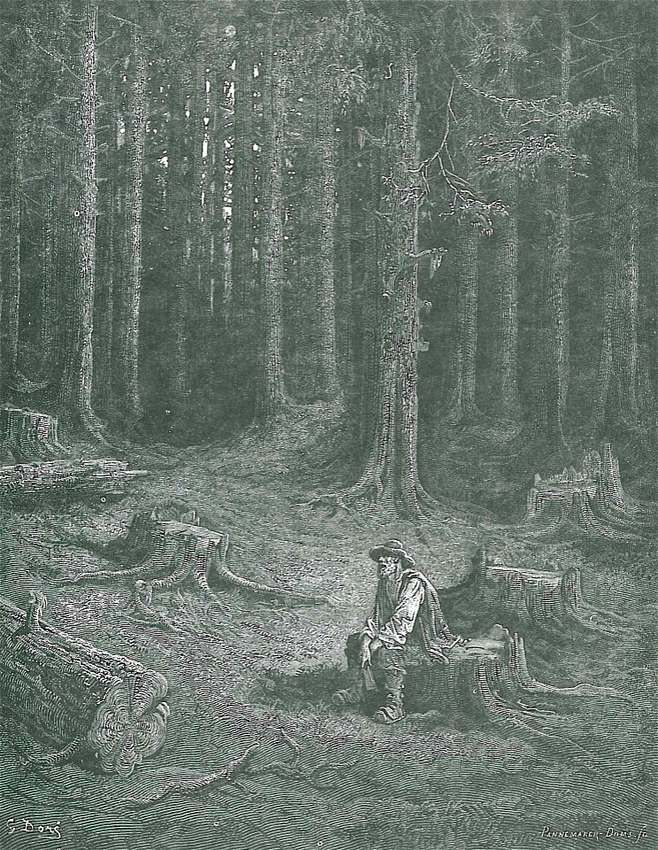 La Foret et le Bucheron