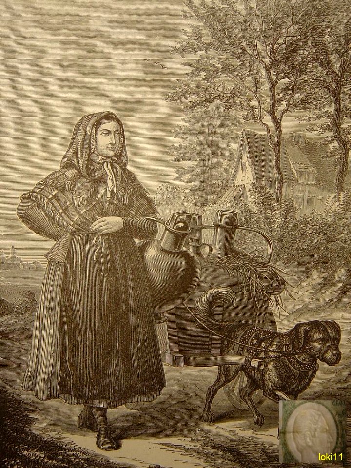 La laitière flamande