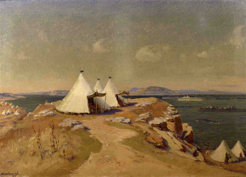 La flotte au mouillage aux Dardanelles