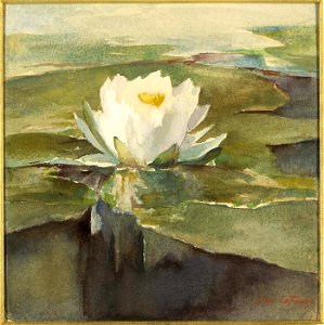 John La Farge - Water Lily in Sunlight - 1929.6.70 - Smithsonian American Art Museum
