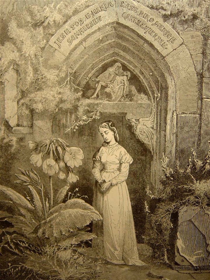 La fleur céleste