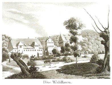 LA Helvig, C. Buckhardt - Das Waldhorn (aus Sammelbild) Aquatinta ca1830 Inv233 (SW251)