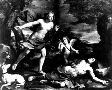 La muerte de Adonis - Guercino
