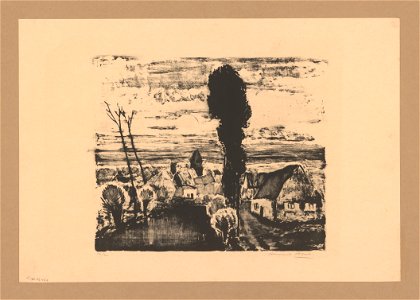 La mare, print by Armand Apol (1879-1950), Belgium, (1914), Prints Department of the Royal Library of Belgium, S.IV 25466
