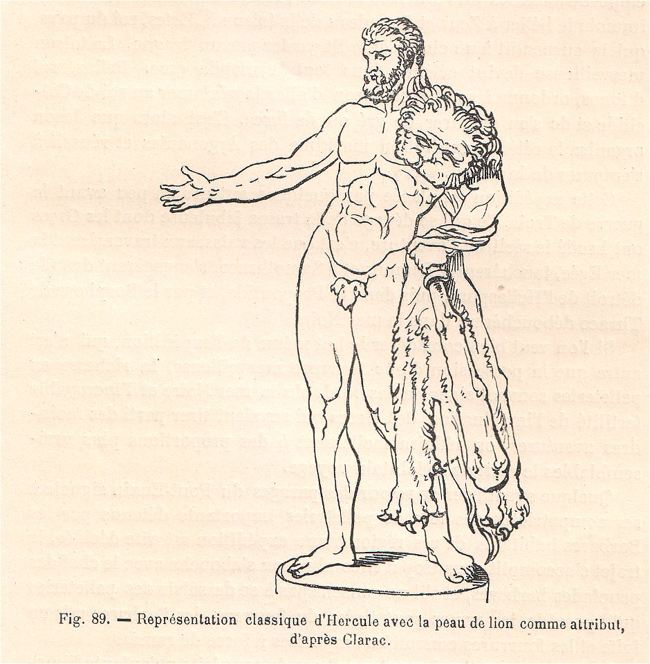 La pelleterie et le vêtement de fourrure dans l'antiquité (page 237)
