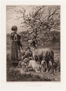 La petite bergère, objectnr A 14996