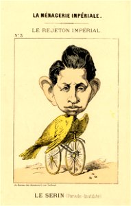 La Menagerie Imperiale (BM 1871,0610.939-970)