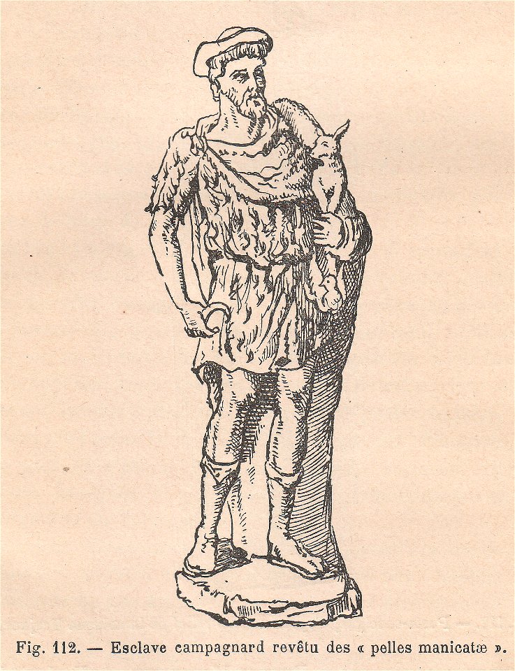 La pelleterie et le vêtement de fourrure dans l'antiquité (page 334)