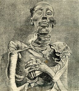 La Mummia di Ramsete II. Free illustration for personal and commercial use.