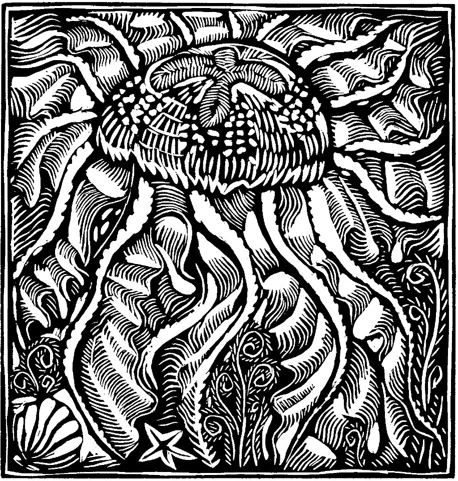 La Méduse (Apollinaire - Le Bestiaire, ou Cortège d'Orphée)