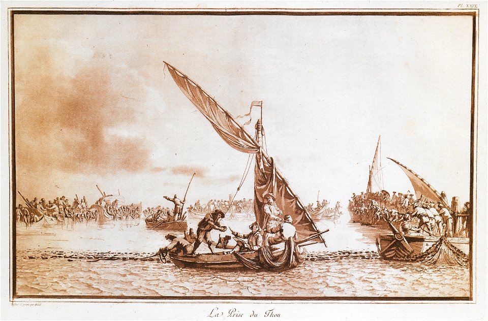 La prise du Thon - Houel Jean - 1782