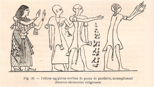 La pelleterie et le vêtement de fourrure dans l'antiquité (page 104). Free illustration for personal and commercial use.