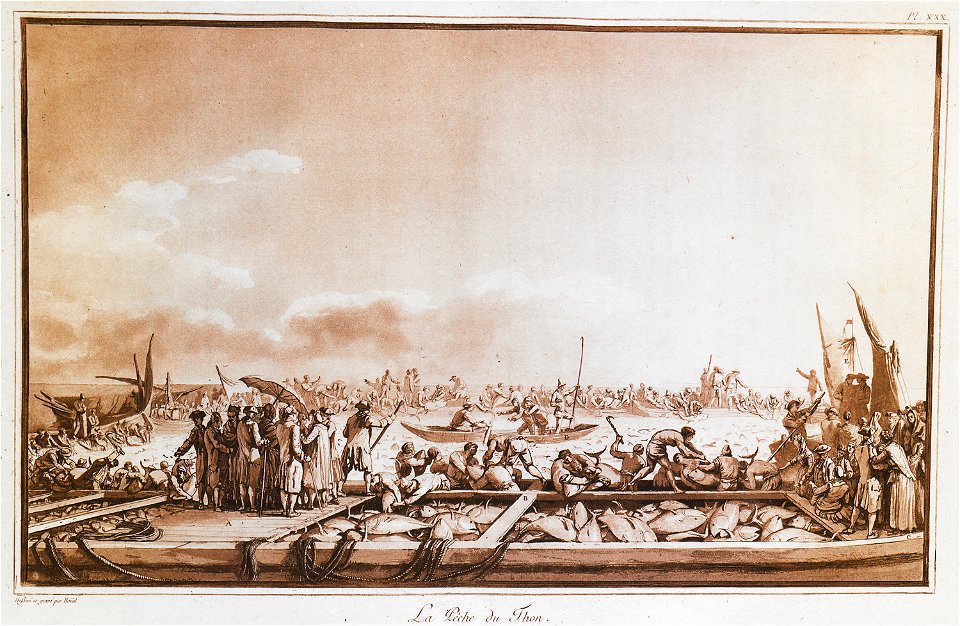 La pêche du Thon - Houel Jean - 1782