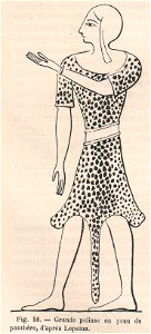 La pelleterie et le vêtement de fourrure dans l'antiquité (page 116). Free illustration for personal and commercial use.