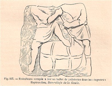 La pelleterie et le vêtement de fourrure dans l'antiquité (page 299)