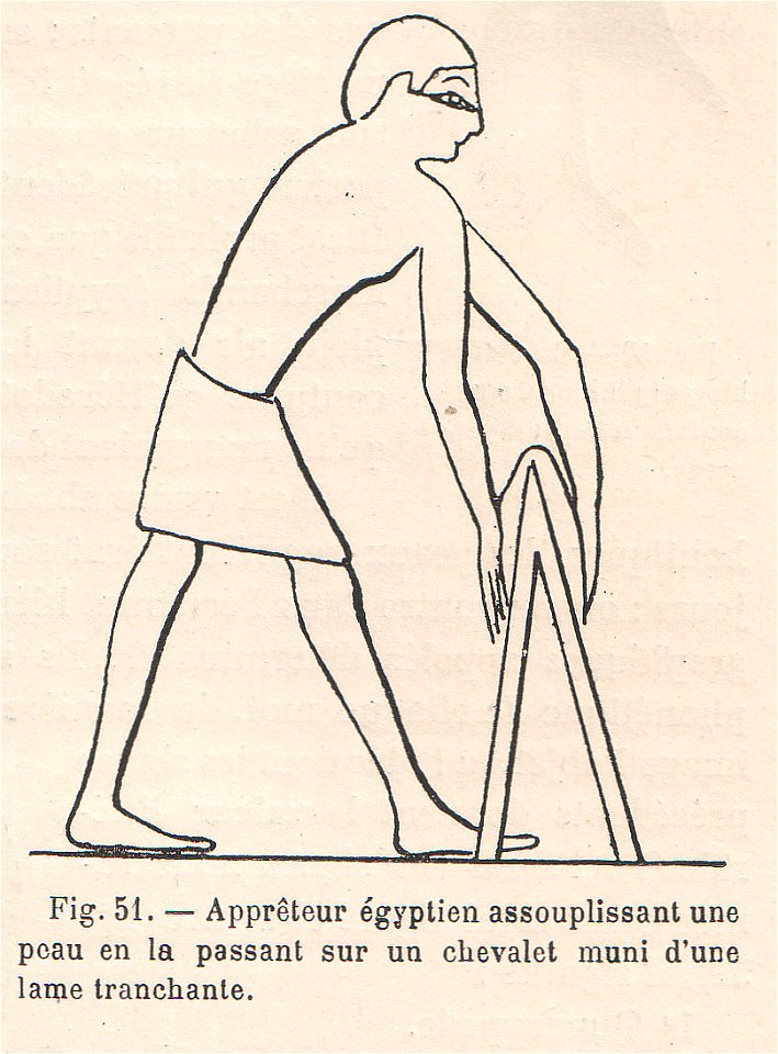La pelleterie et le vêtement de fourrure dans l'antiquité (page 107)