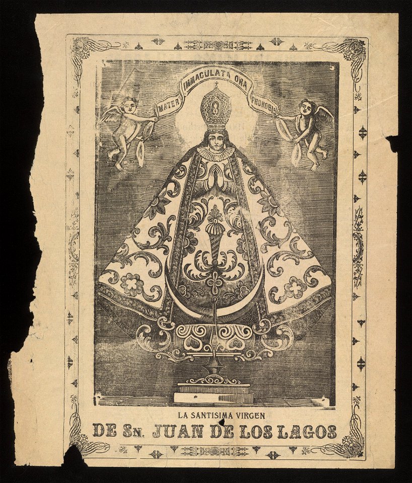 La santisisma Virgen de Sn. Juan de los Lagos LCCN99615956