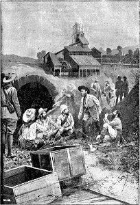 La scotennatrice p197