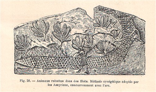 La pelleterie et le vêtement de fourrure dans l'antiquité (page 127)