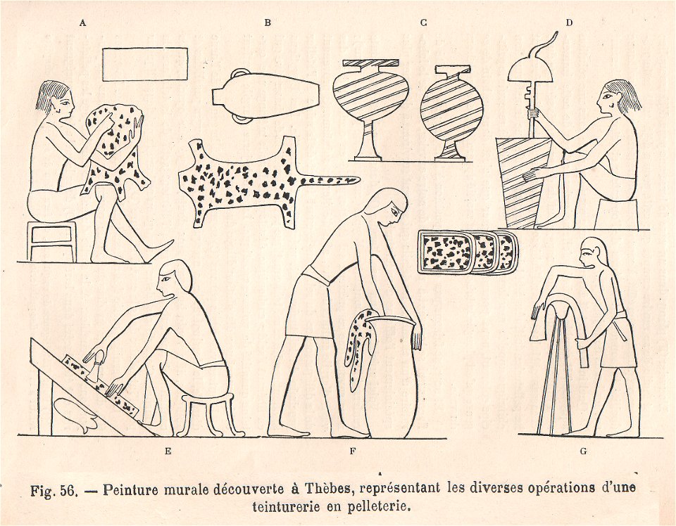 La pelleterie et le vêtement de fourrure dans l'antiquité (page 111)